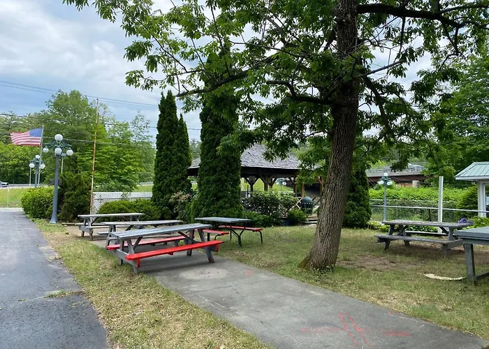 Adirondack Oasis Motel