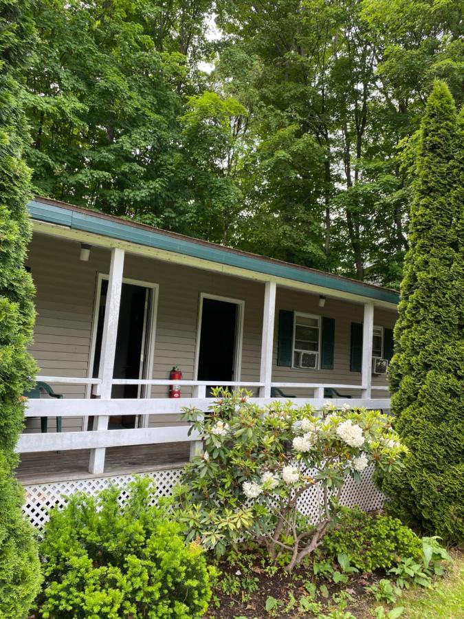 Adirondack Oasis 2* Lake George
