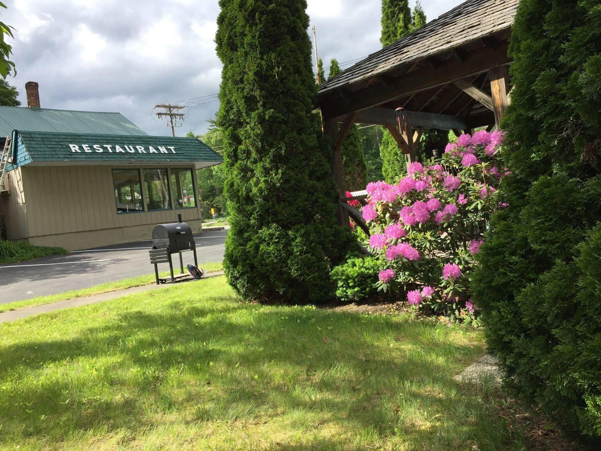 Adirondack Oasis Motel 2*